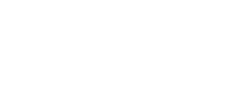 Asian Auto Electrical Industries